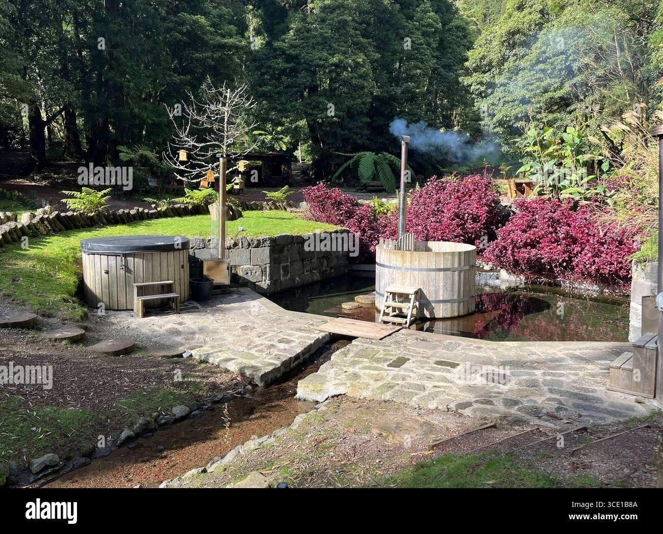 Wood-fired hot tubs steaming in a forest garden setting at Grená Park, São Miguel Island, Azores, Portugal. - Smartphone Captured Stock Image