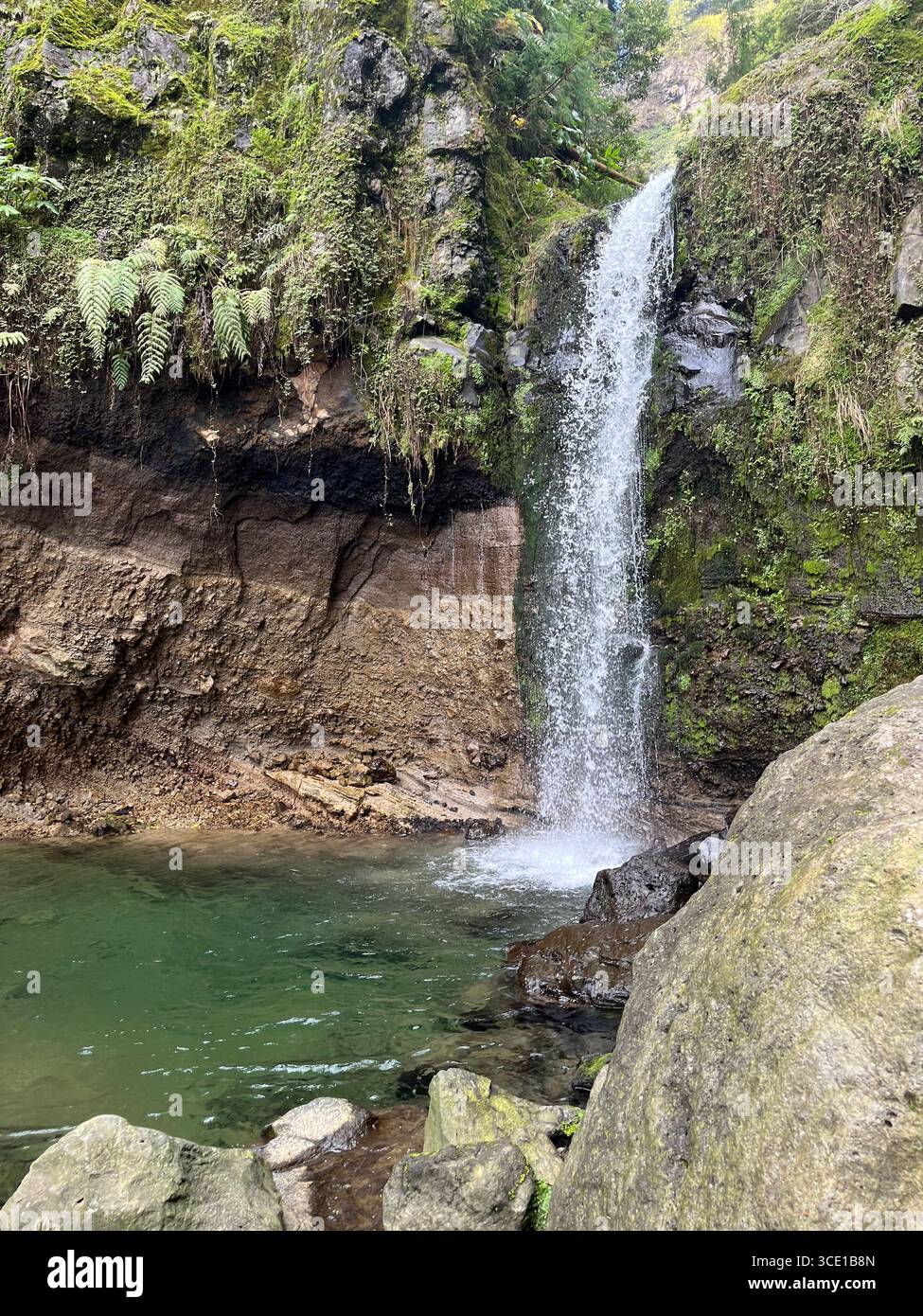 A beautiful waterfall cascades into a pool along the hiking trail at Grená Park, surrounded by lush forest greenery. - Smartphone Captured Stock Image