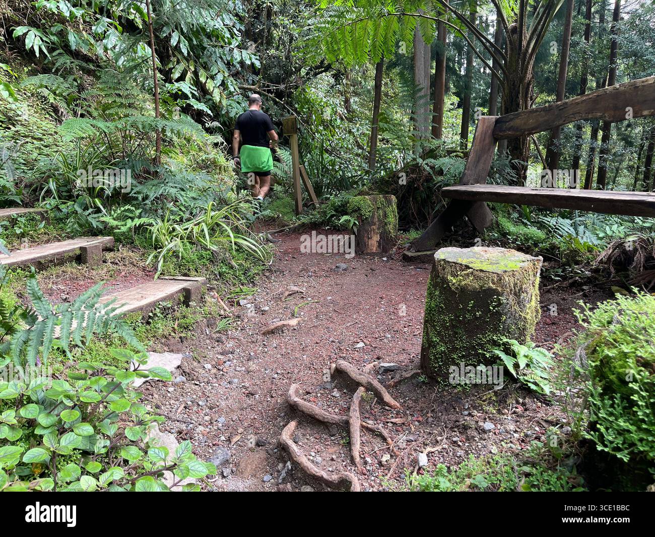 A man walks along a forest trail in Grená Park, surrounded by lush greenery and natural wooden benches. - Smartphone Captured Stock Image