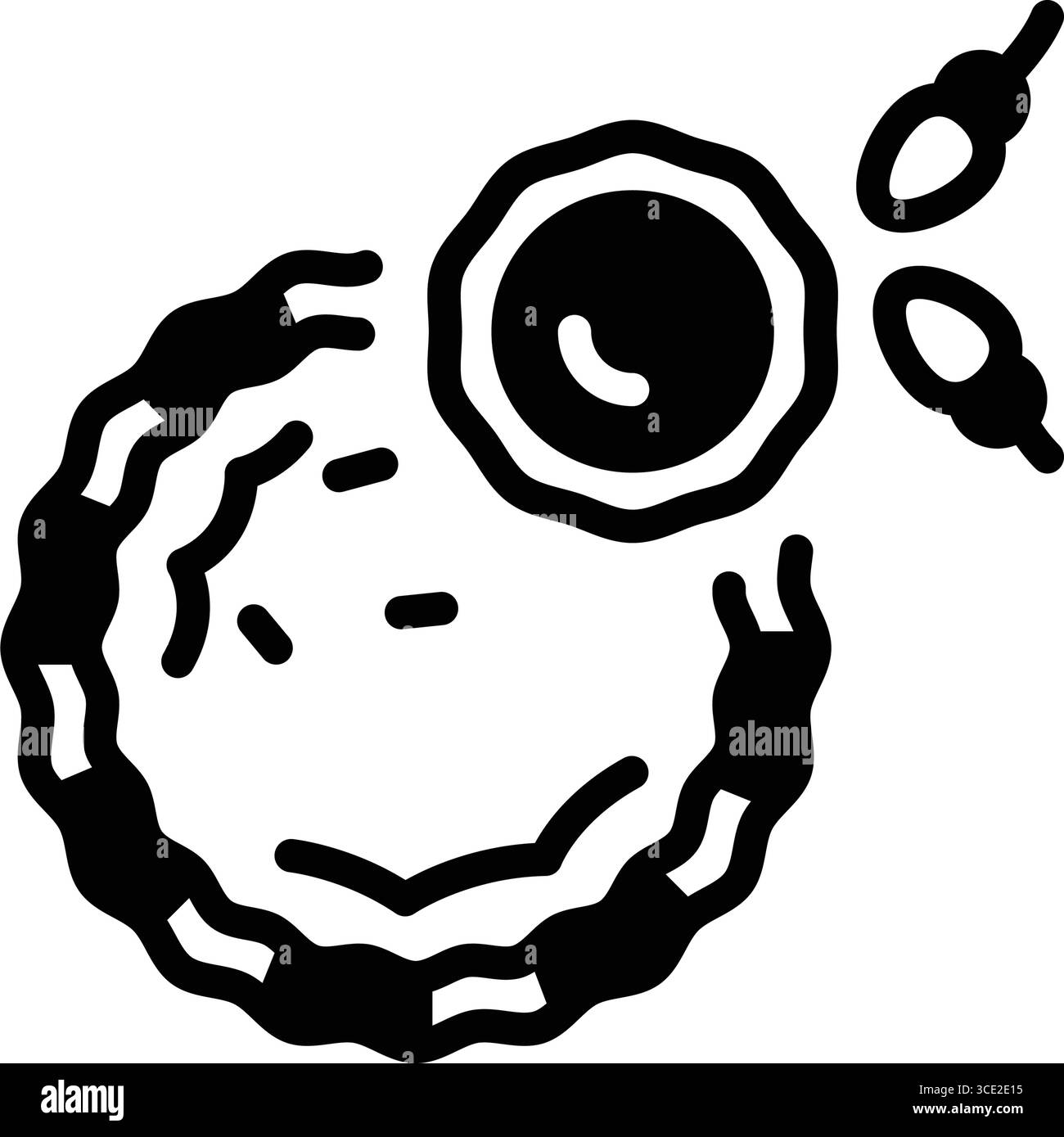 Icon for ovulation, ovum cell Stock Vector Image & Art - Alamy