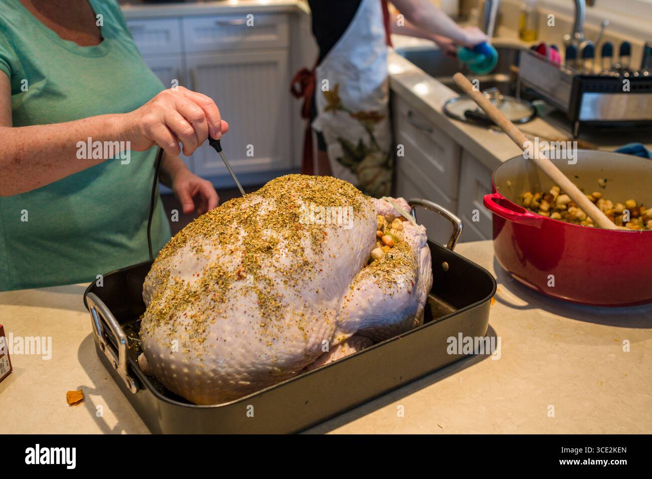 Woman placing temperature probe into a raw turkey in pan before cooking for Thanksgiving Day dinner, Honolulu, Oahu, Hawaii, USA Stock Photo