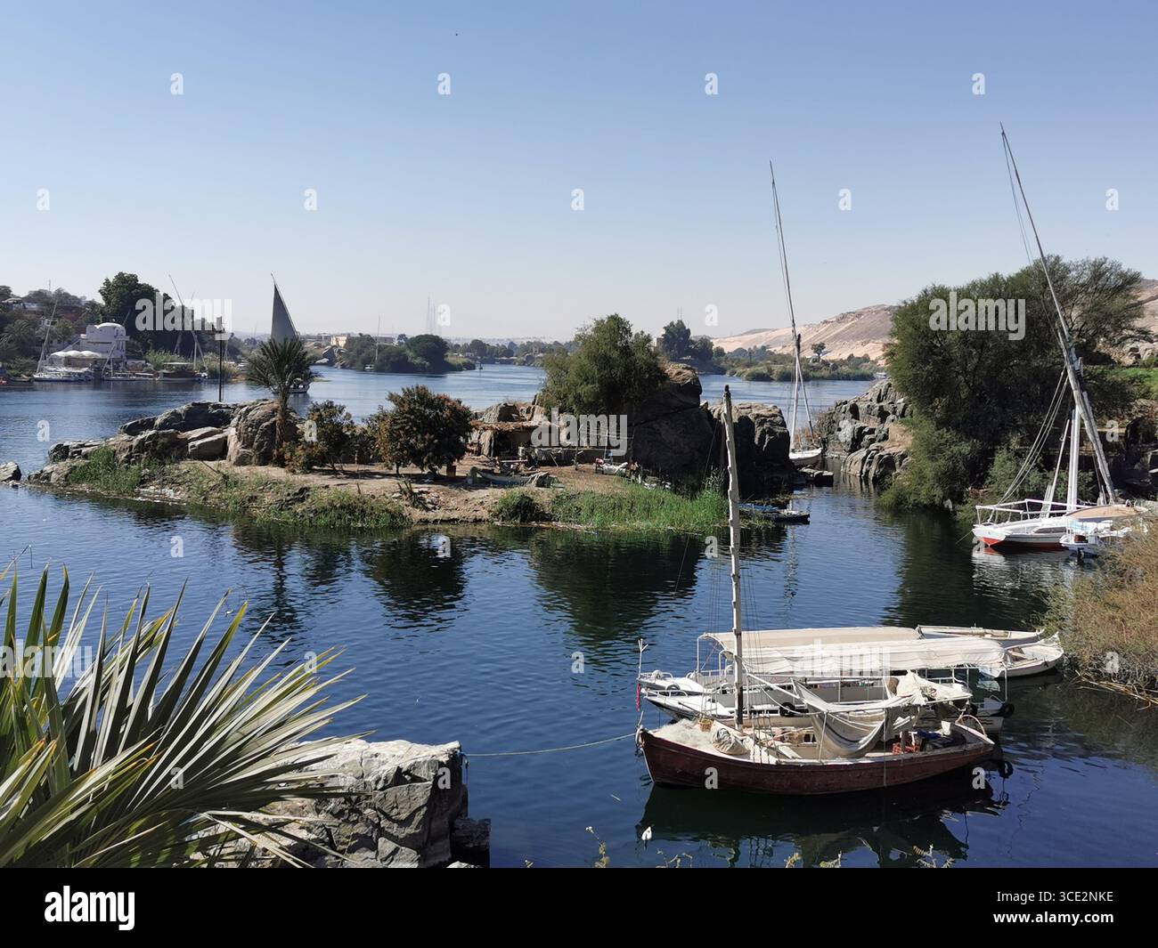 El Nabatat Island or Kitchener's Island, home of the Botanical Gardens in Aswan located on the River Nile. It is also often called Botanical Island. - Smartphone Captured Stock Image