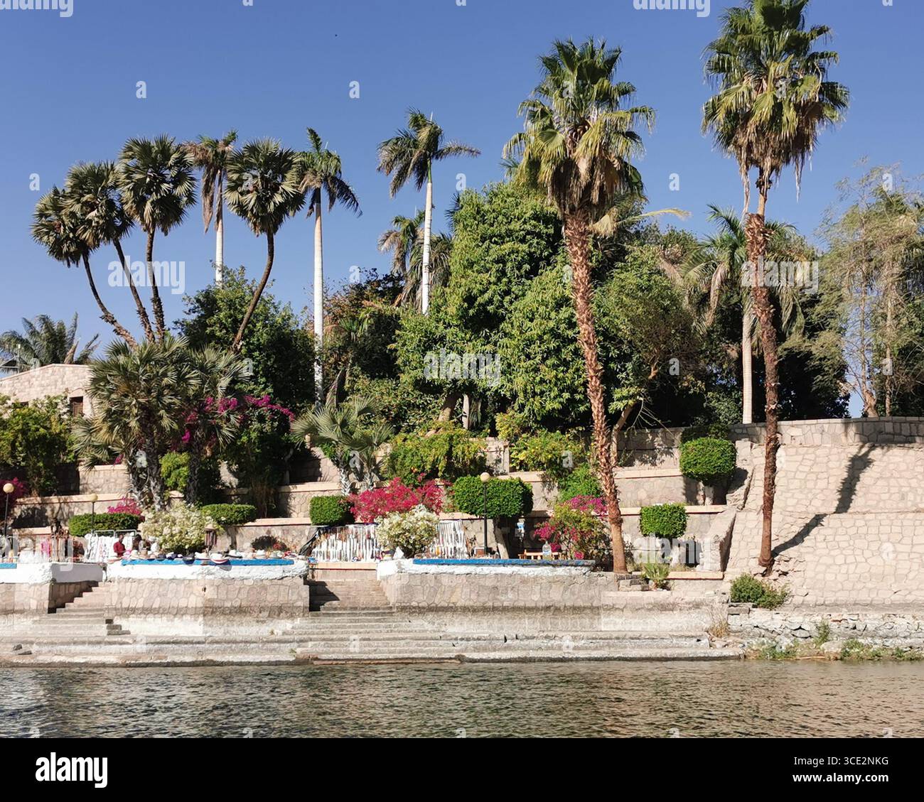 El Nabatat Island or Kitchener's Island, home of the Botanical Gardens in Aswan located on the River Nile. It is also often called Botanical Island. - Smartphone Captured Stock Image