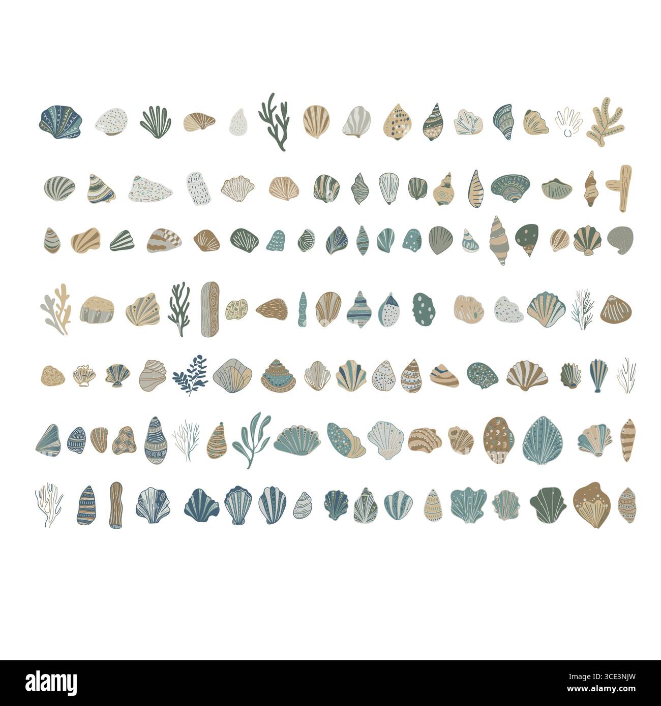 Minimalist shell drawings for coastal and beach themed projects Stock