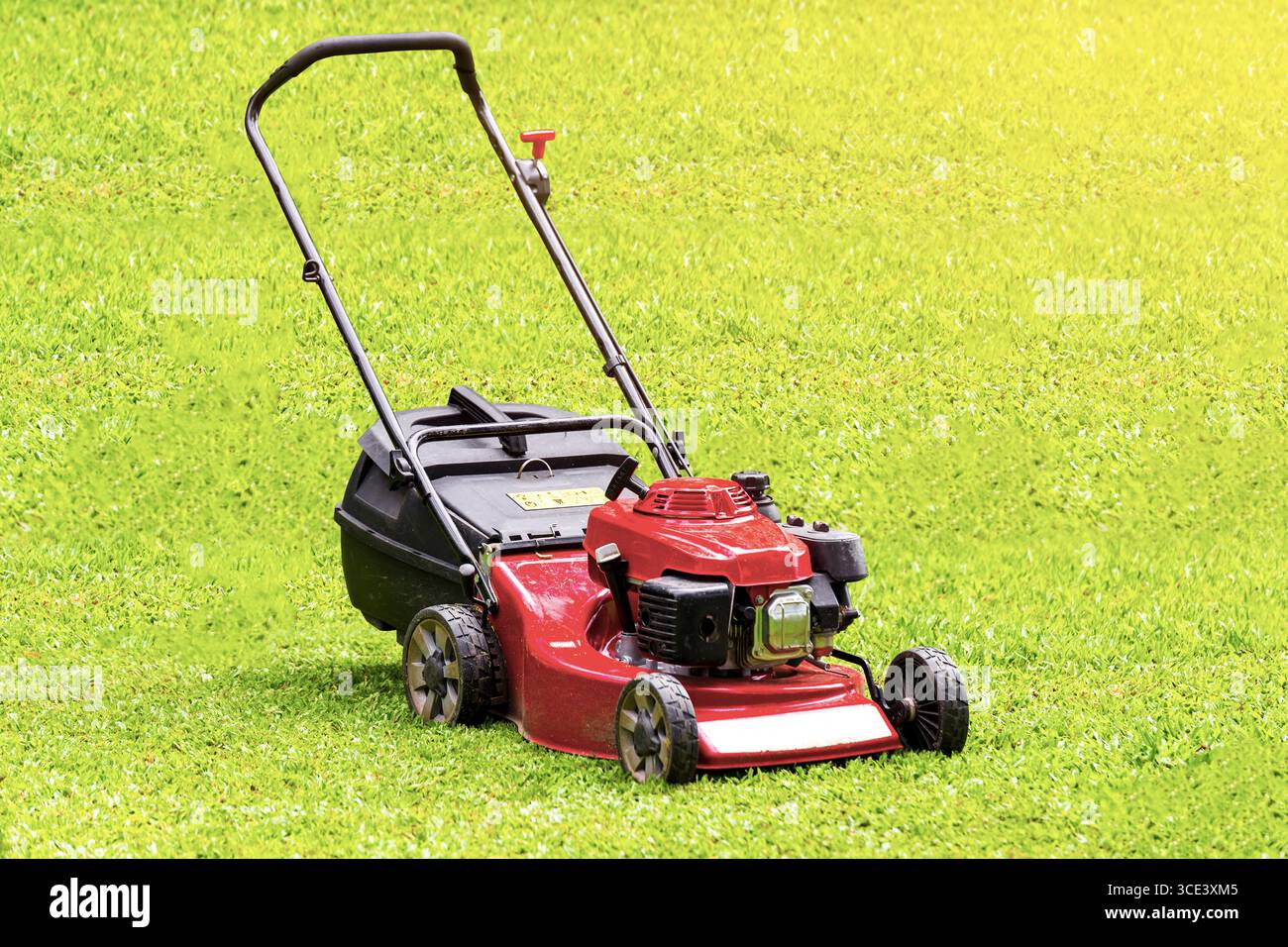 Red lawn mower isolated on green grass background. Stock Photo