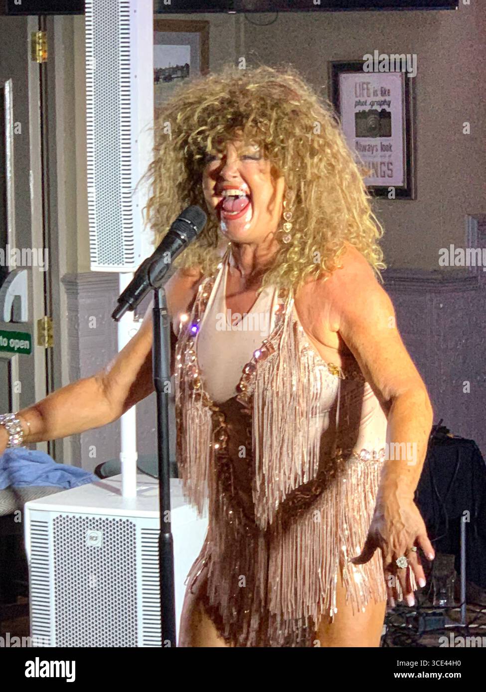 Tina turner long hair singer singing songs microphone dress dressed American sing Black African standing frizzy hair blonde speakers tour touring - Smartphone Captured Stock Image
