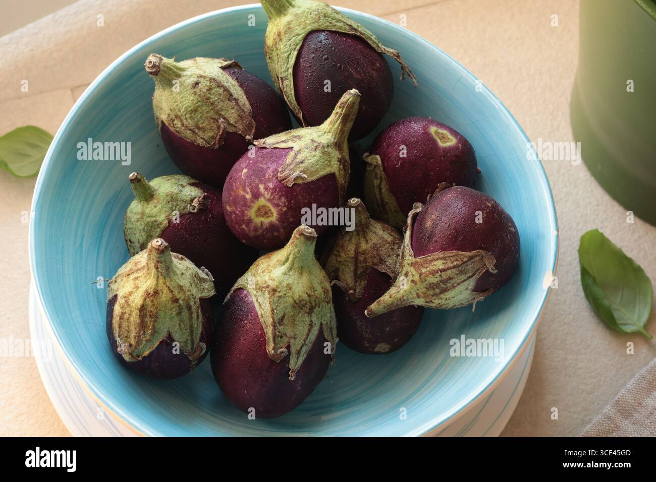 Mini eggplants in bowl. Vegetables and healthy eating. Ecologically clean products from the garden. Stock Photo