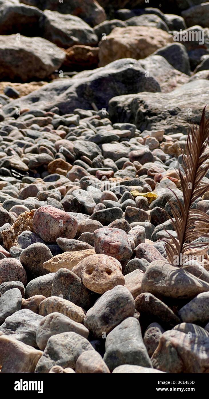 sea pebbles and sea foam on the Black Sea coast - Smartphone Captured Stock Image