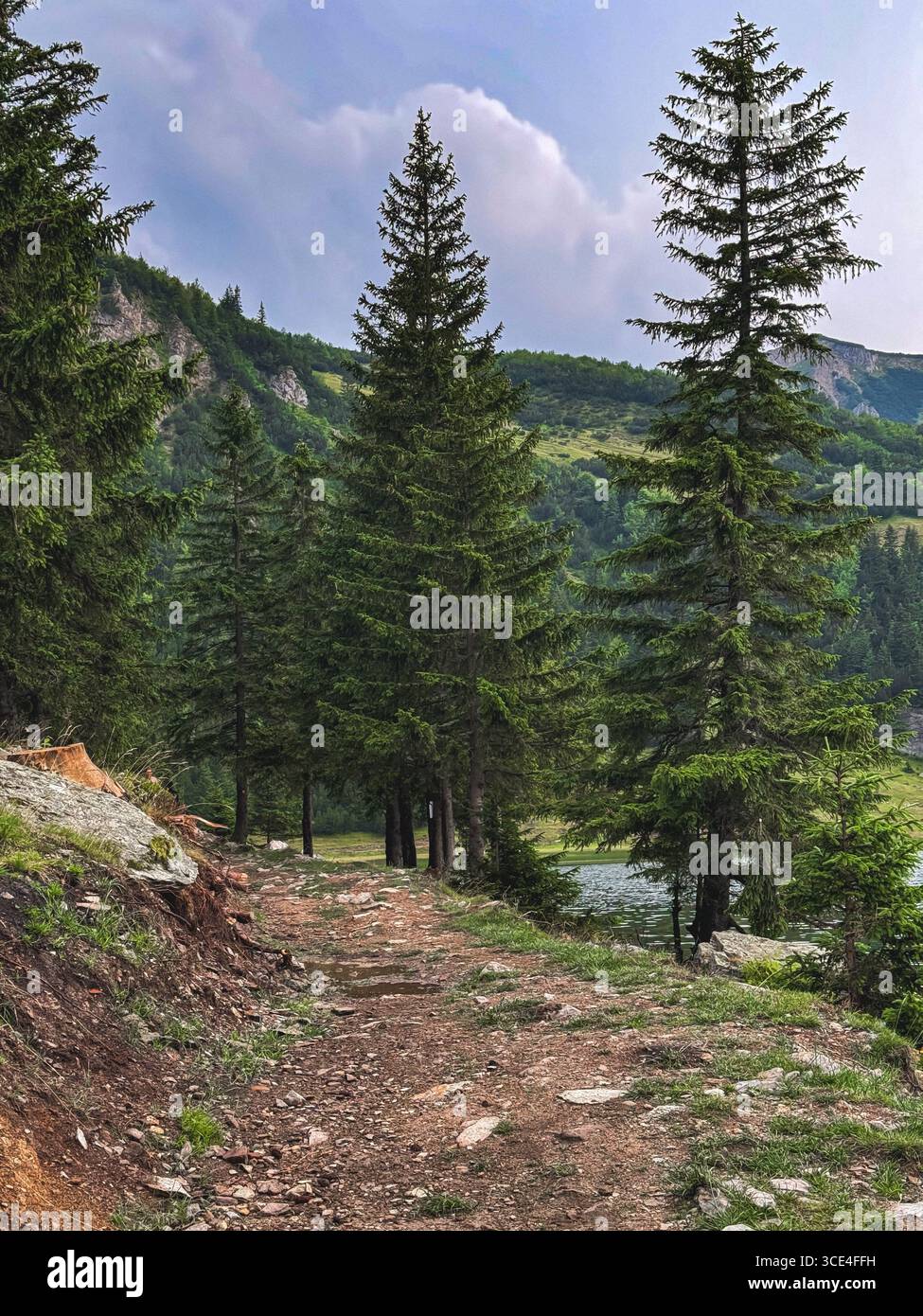 Scenic Beauty of Prokoško Lake - Smartphone Captured Stock Image