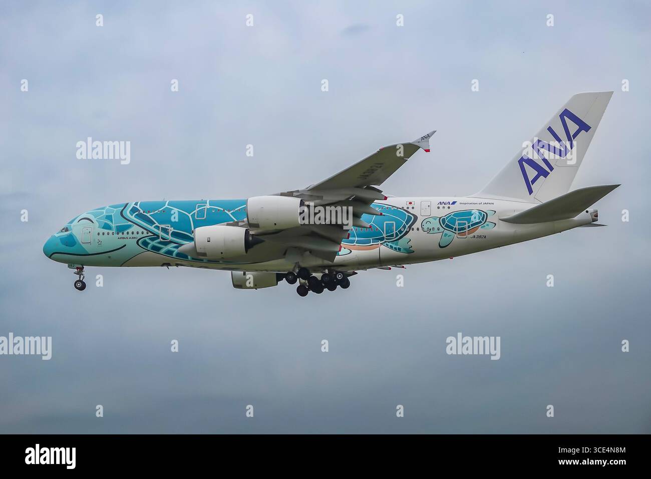 A380 turtle hi-res stock photography and images - Alamy
