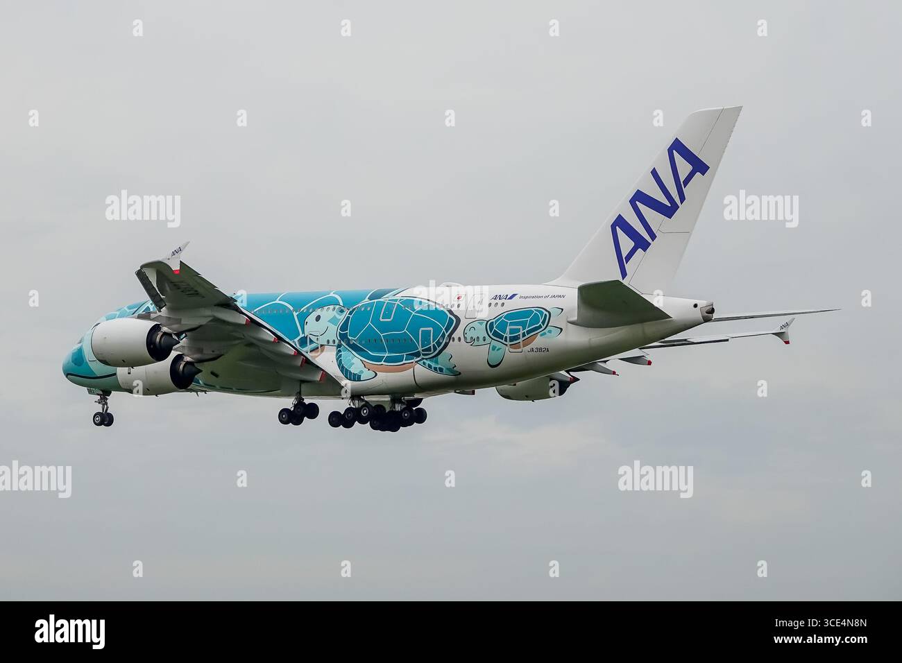 A380 turtle hi-res stock photography and images - Alamy