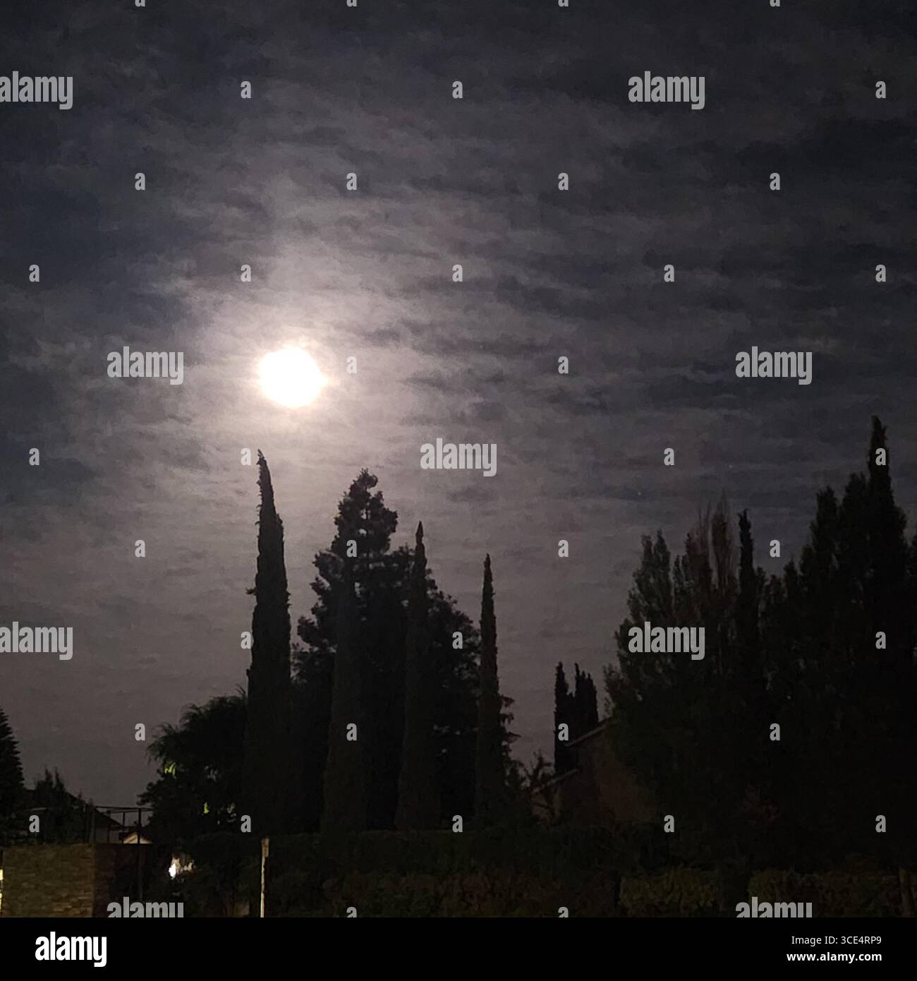 Night stroll - Smartphone Captured Stock Image