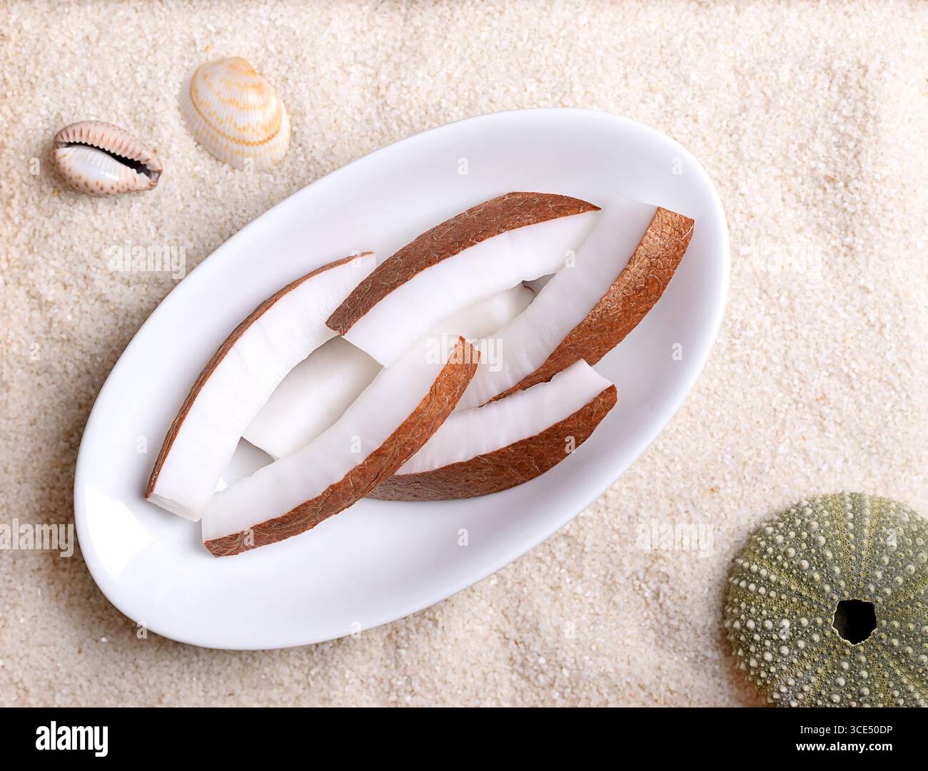 Fresh coconut meat, in oval white bowl, on beach sand with shells. Opaque white flesh of a fresh and young coconut, cut into strips, and ready to eat. Stock Photo