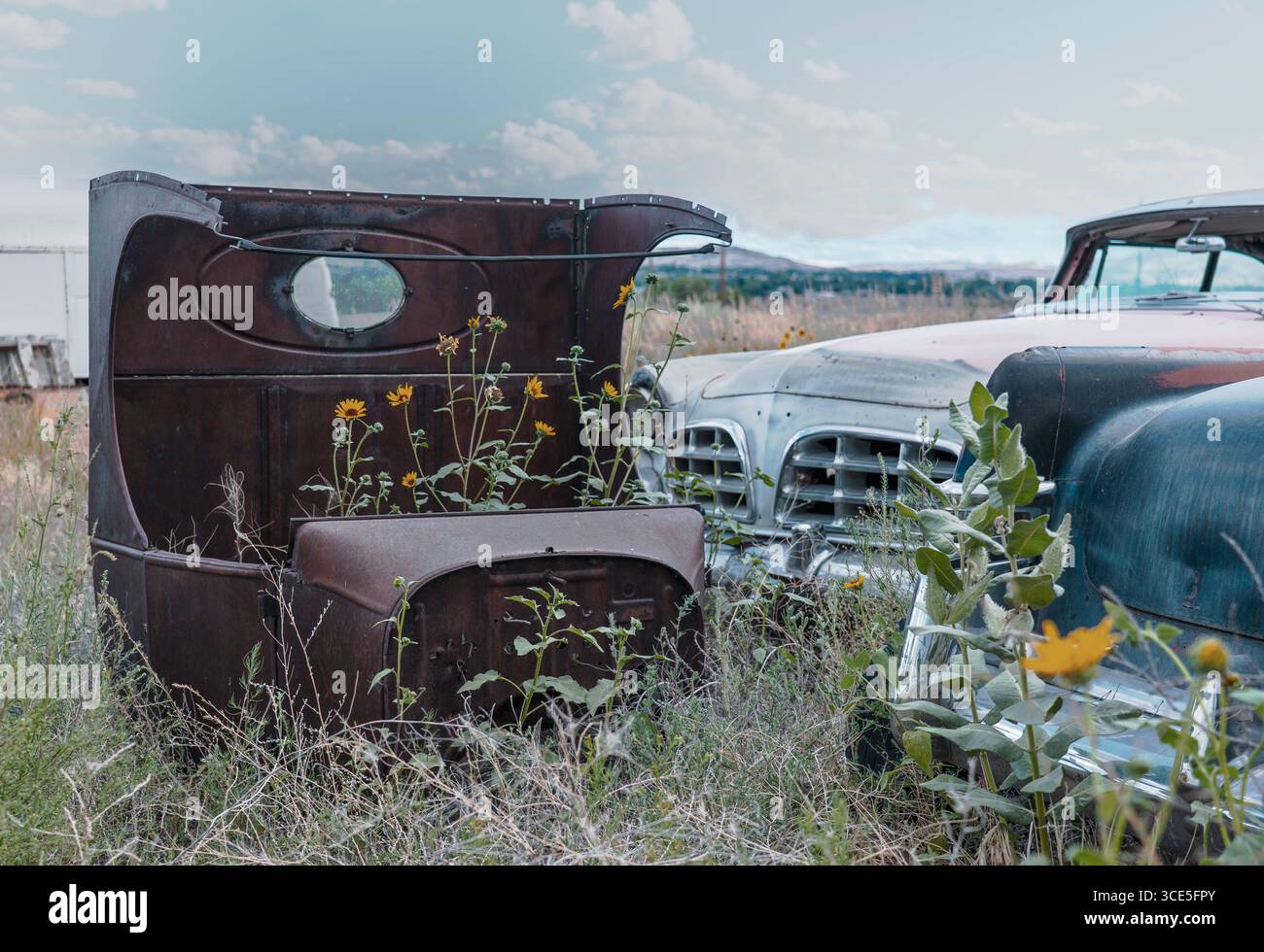 Old cars & vintage van truck are parked in an outdoor field filled with ...