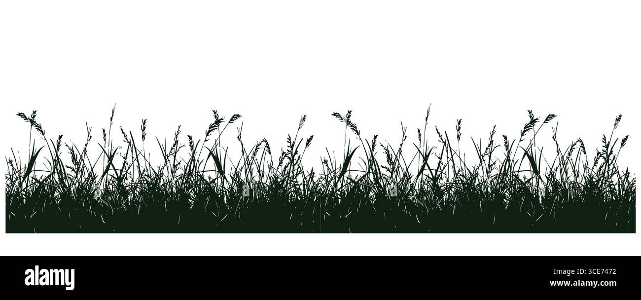 Green grass isolated on white background Stock Vector Image & Art - Alamy