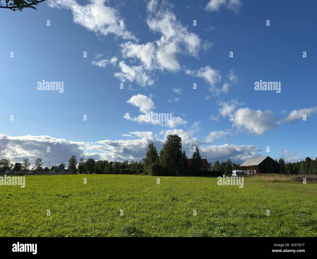 A picturesque rural landscape with a vast green field and a bright blue sky with fluffy clouds. - Smartphone Captured Stock Image