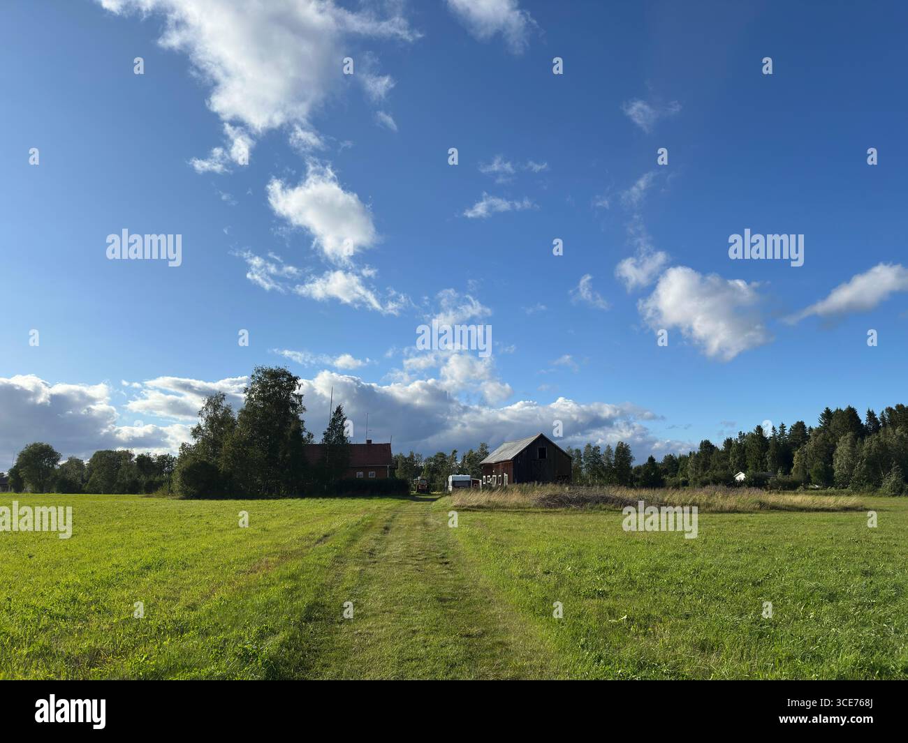 A picturesque rural landscape with a vast green field and a bright blue sky with fluffy clouds. - Smartphone Captured Stock Image