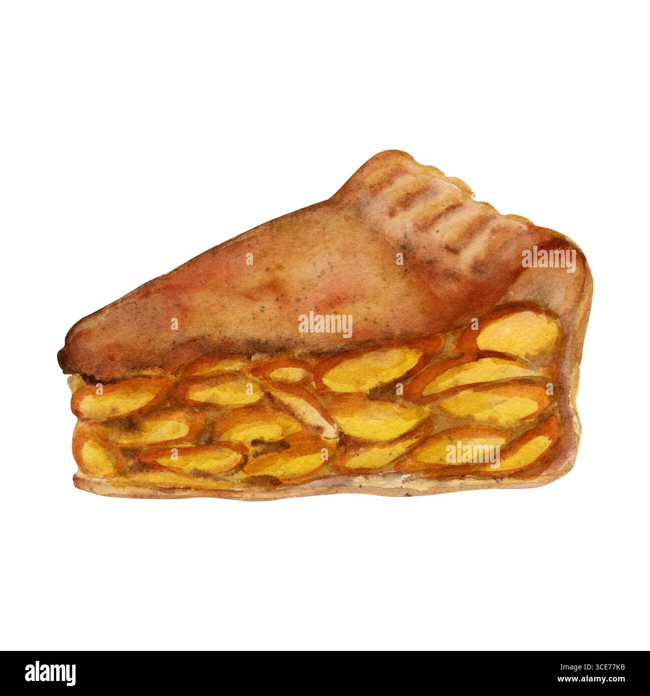 Hand drawn apple pie slice, fruit tart cut piece, peach strudel baked pastry  portion. Watercolor isolated illustration. Recipe cards, food fest Stock  Photo - Alamy, image size:1299x1390