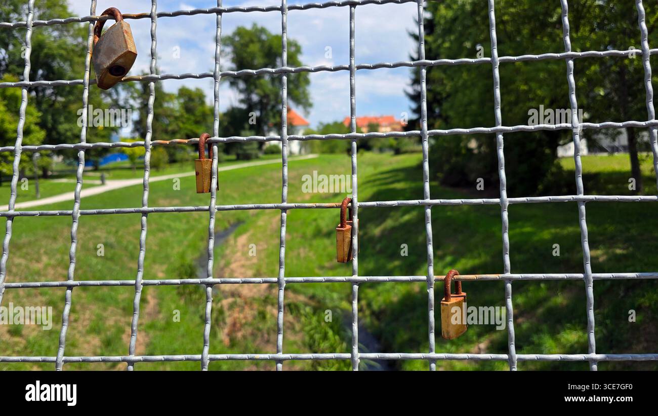 Multiple padlocks hang on grid-pattern fence, symbolizing love and commitment, with walking paths, trees, and lawns visible through the wire Stock Photo