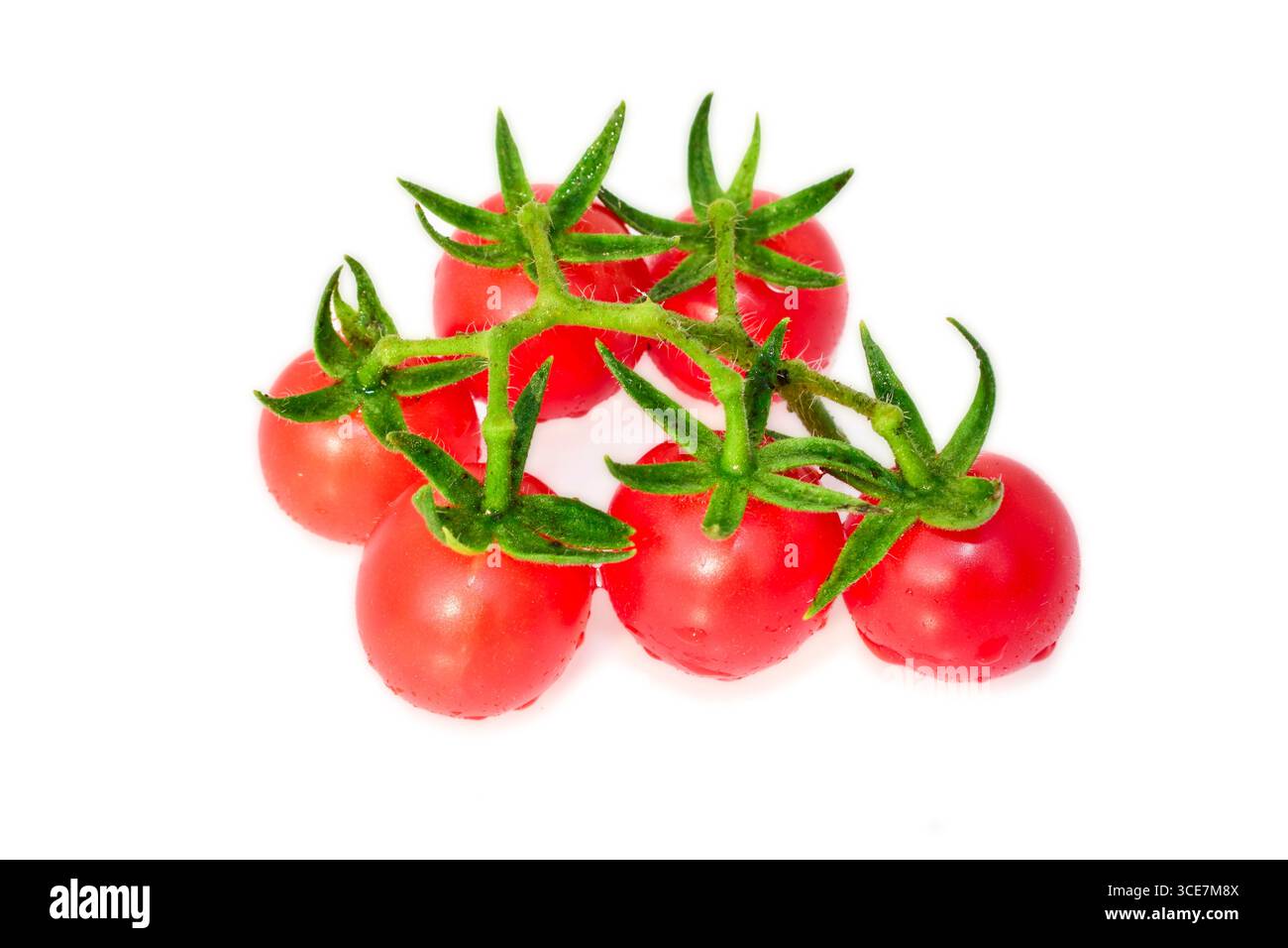Tomatoes isolated on white background, tomato with water drops Stock Photo