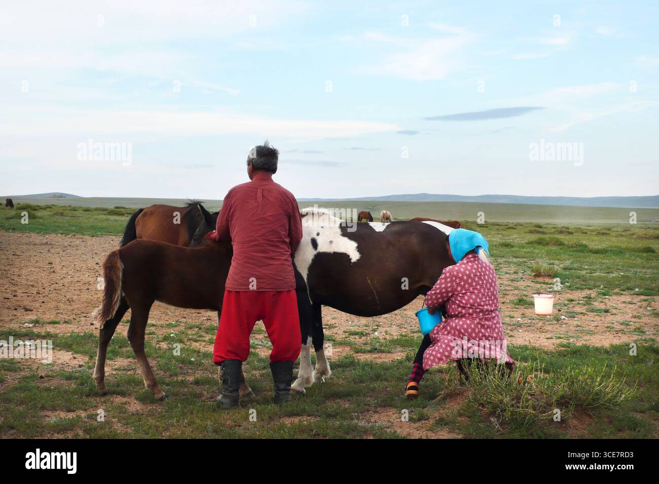 Mongolian woman mongolia steppe nomads hi-res stock photography and ...