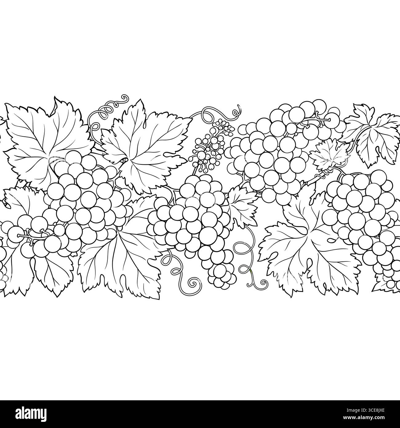 Grapes Outline Horizontal Seamless Pattern Stock Vector