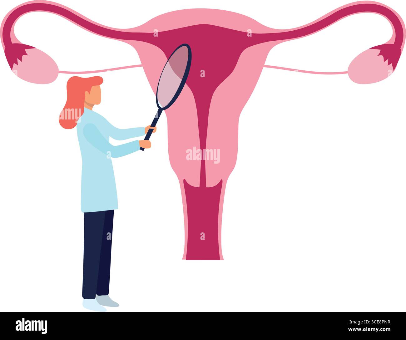 Gynecologist Tracking Female Menstrual Cycle and Reproductive System ...