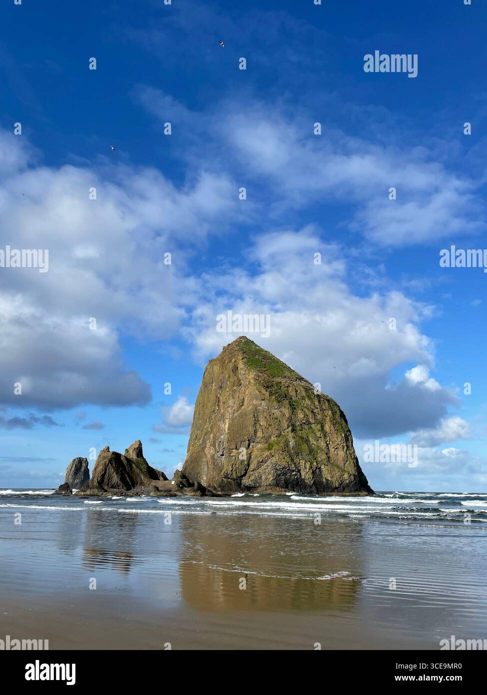 Haystack Rock, Cannon Beach, OR, Apr 2024 - Smartphone Captured Stock Image
