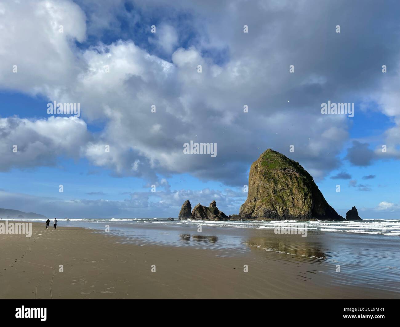 Haystack Rock, Cannon Beach, OR, Apr 2024 - Smartphone Captured Stock Image