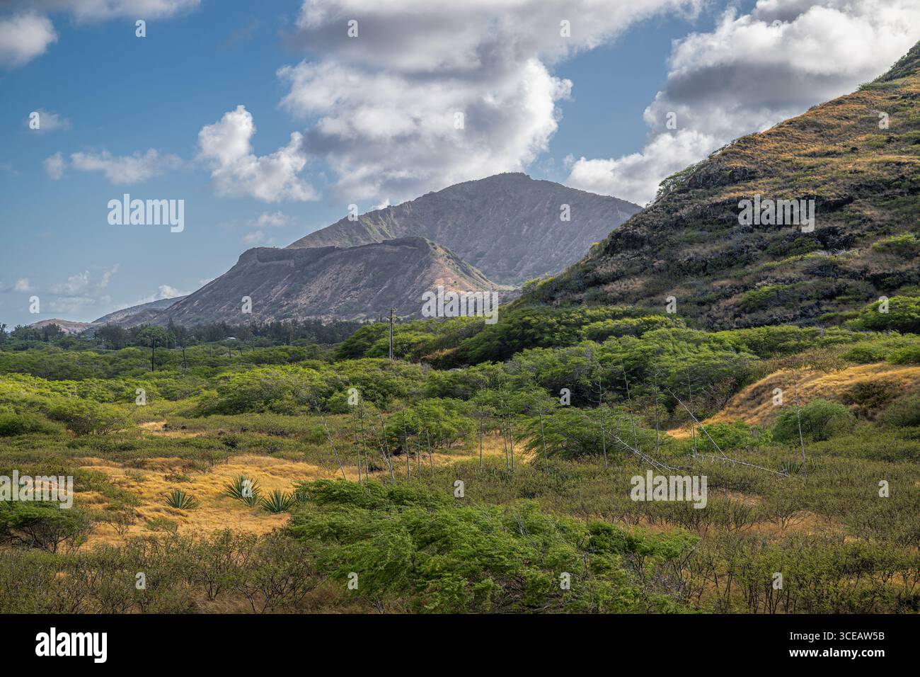 Koko head hi-res stock photography and images - Alamy