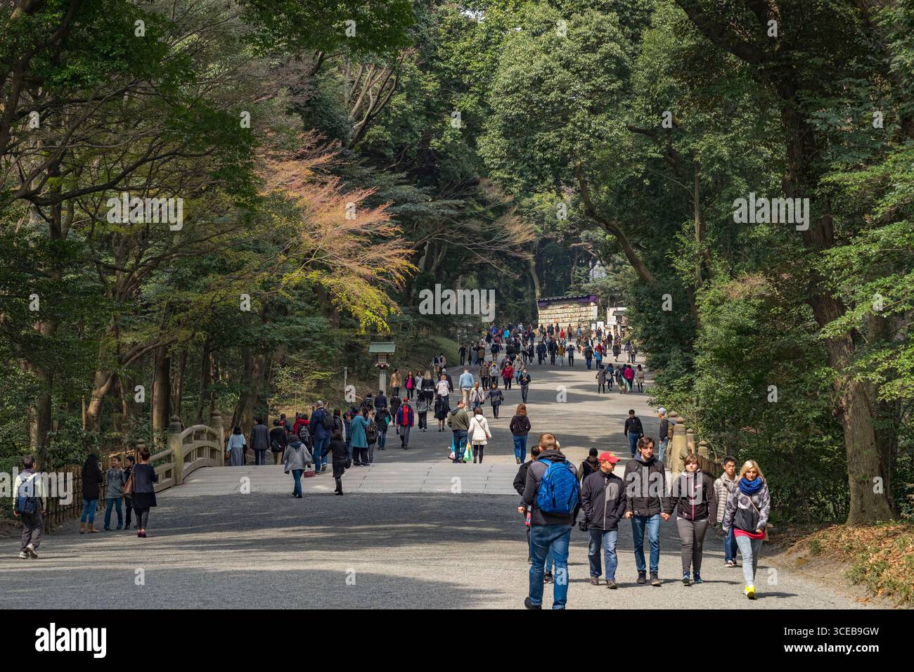 Tokyo Walk Path People walking on gravel path in the Meiji Jingu Shinto shrine complex ...