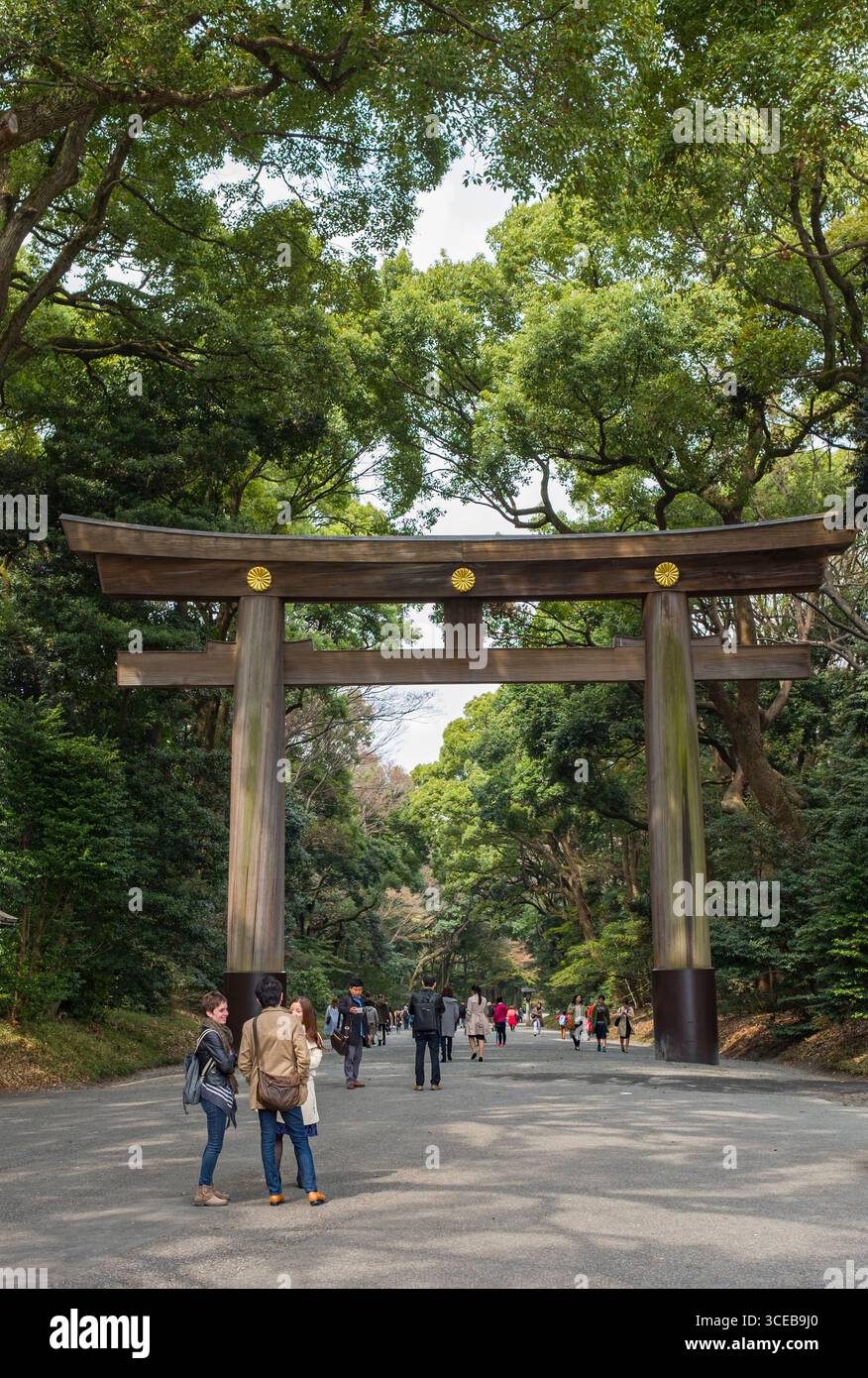 Torii traditional Japanese gate made from cypress at the entrance to ...