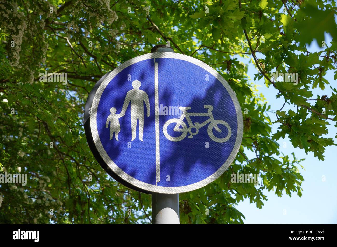Shared use cycle path and pedestrian sign Stock Photo - Alamy