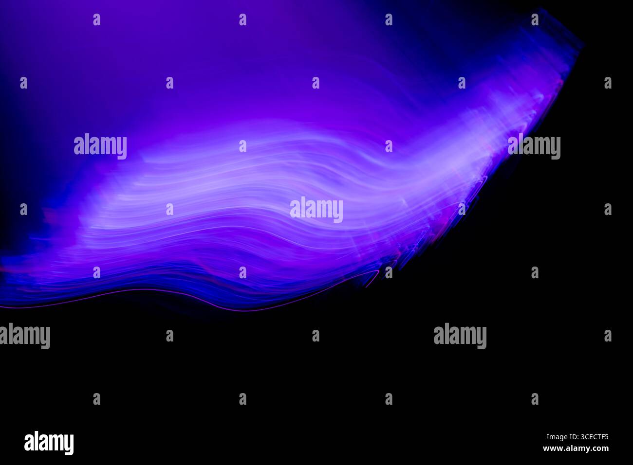 Dynamic abstract image of flowing purple neon light waves set against a ...