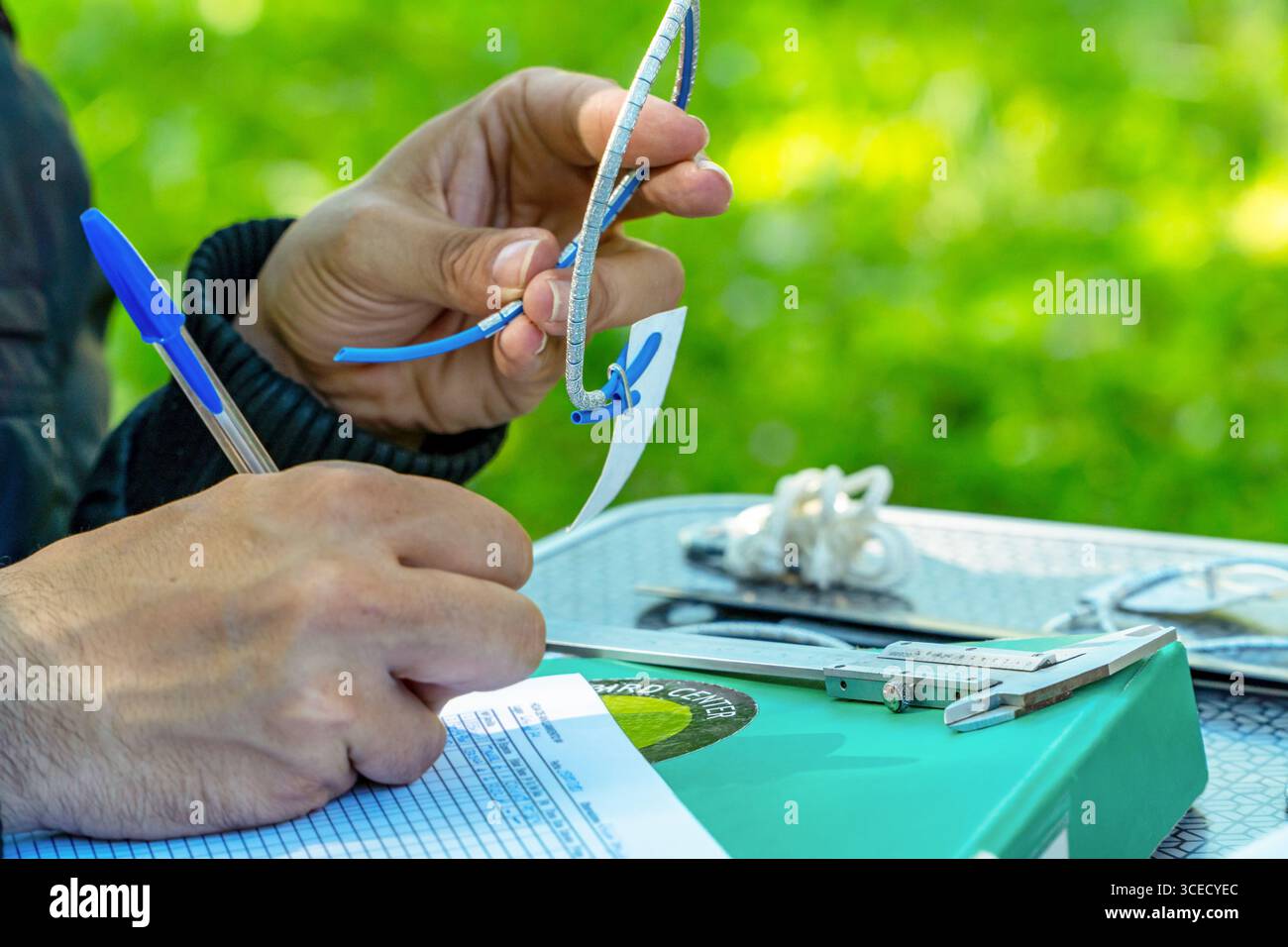Scientific bird documentation hi-res stock photography and images - Alamy