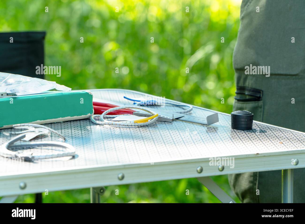Ecosystem analysis hi-res stock photography and images - Alamy
