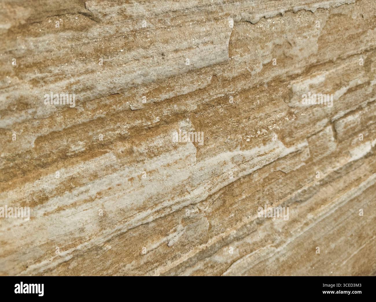 Revealing intricate layers hi-res stock photography and images - Alamy