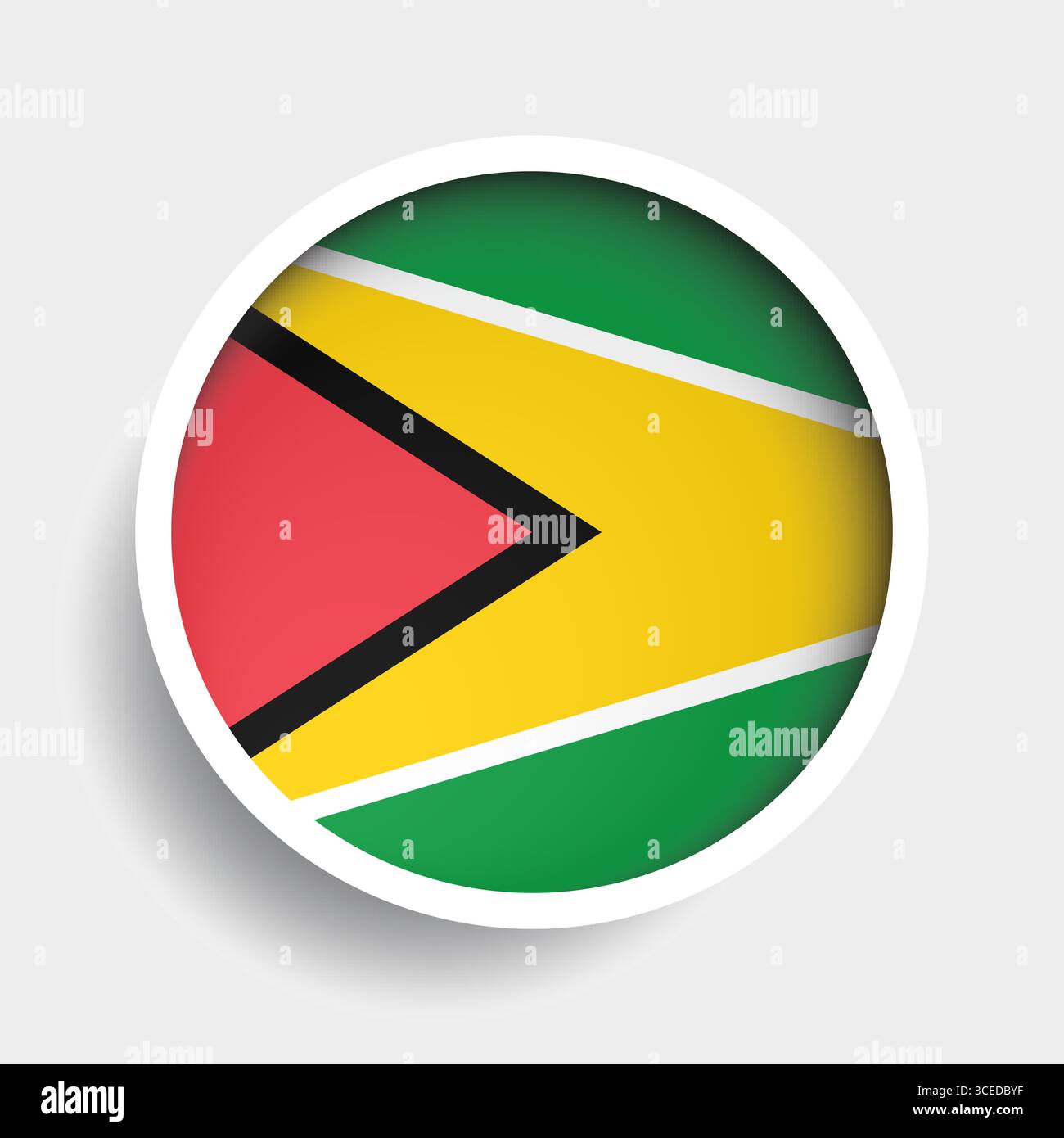 Flag of Guyana, round icon with shadow, national symbol Stock Vector