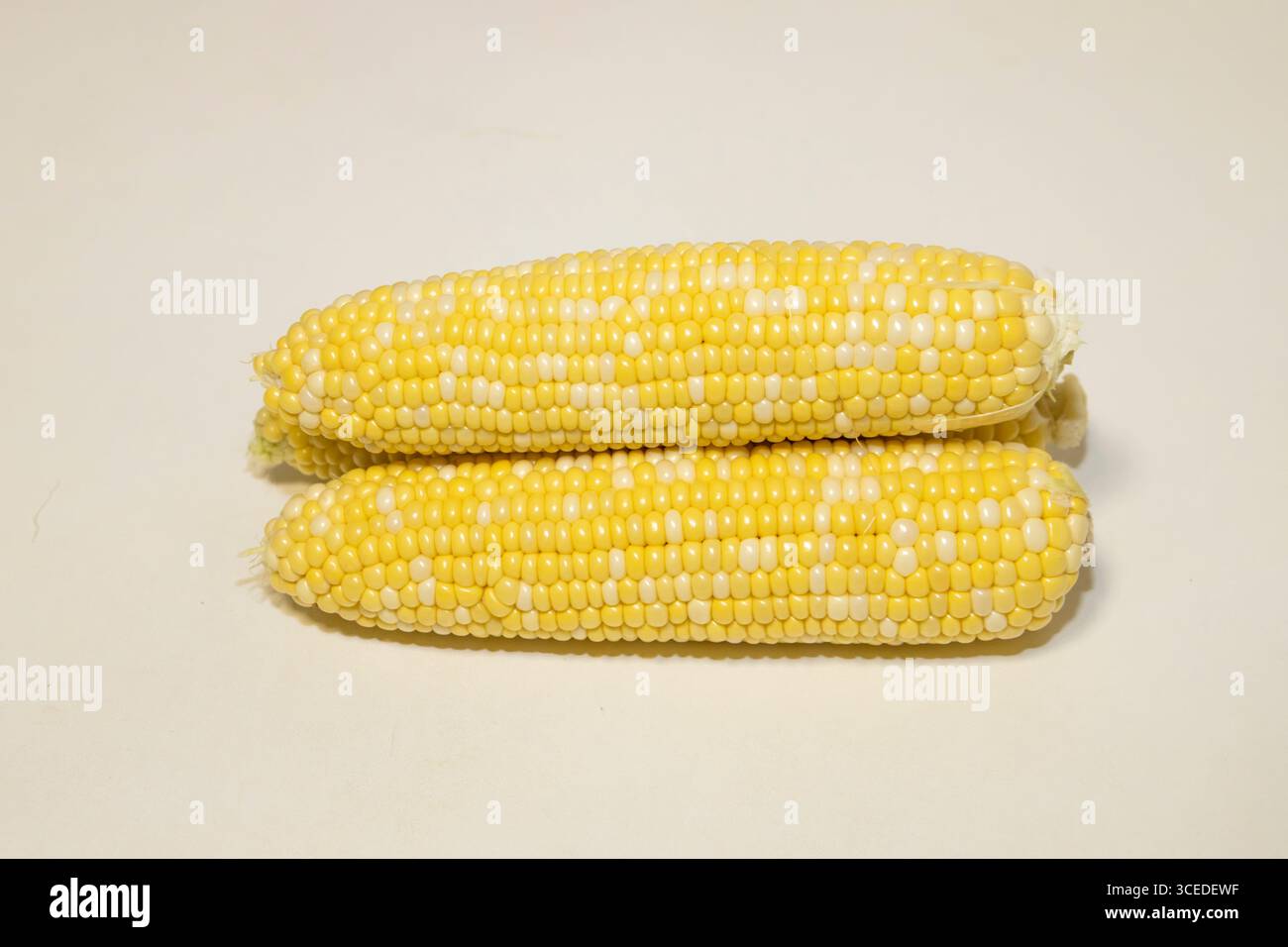 Three raw cobs of sweet corn against background. Tasty sweet corn on cobs Stock Photo