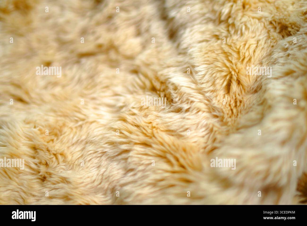 fox fur texture background image Stock Photo
