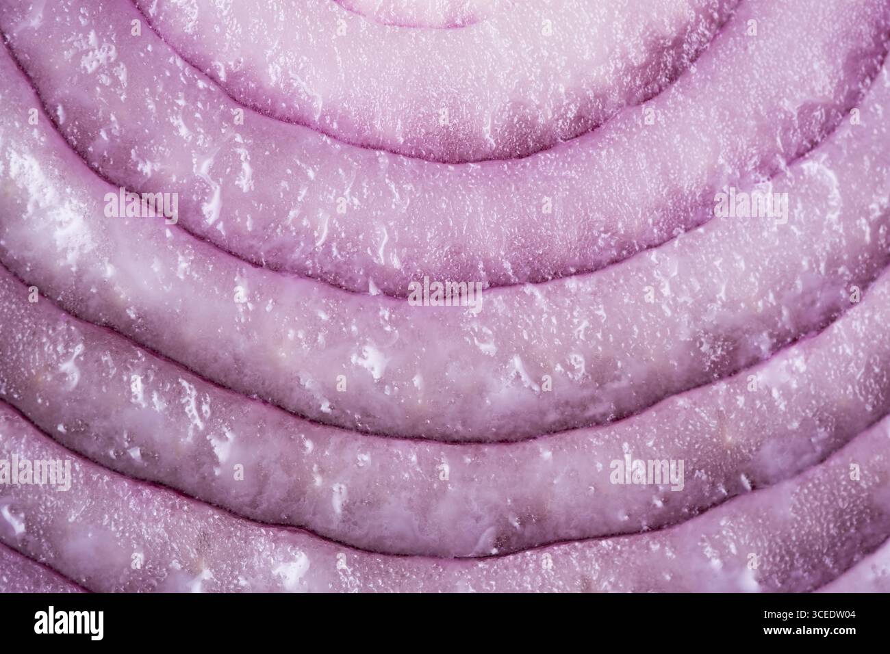 Sliced red onion as background. Close-up Stock Photo