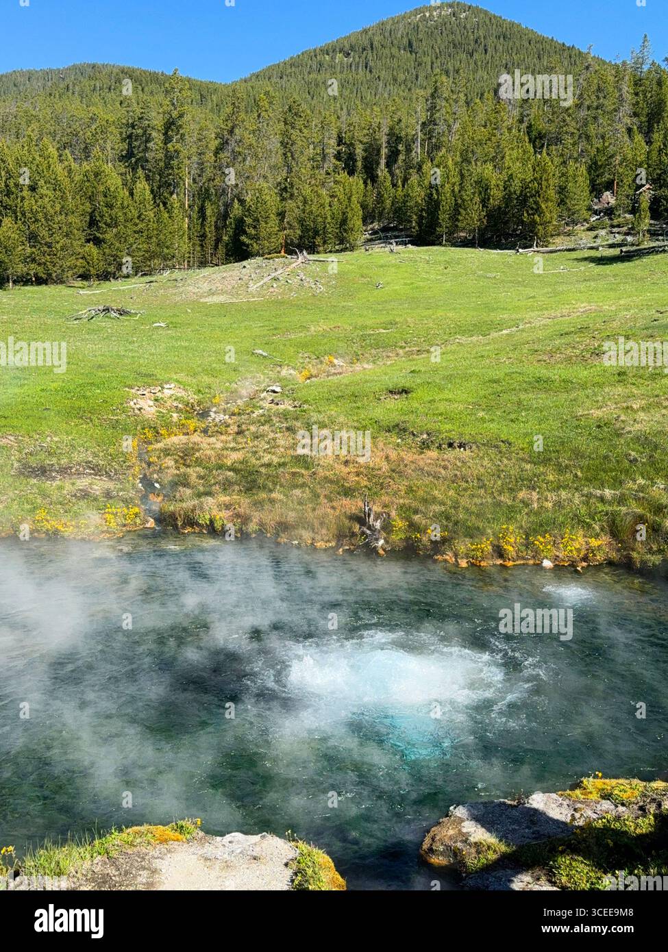 Scenic view of a hot spring of bioiling water in a pool at the Terrace Springs in Yellowstone National Park. No people. - Smartphone Captured Stock Image