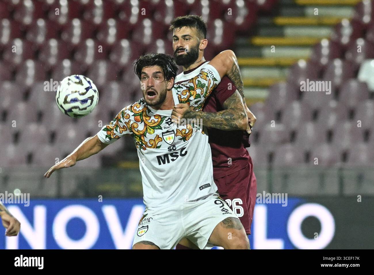 Plescia hi-res stock photography and images - Alamy, image size:1300x956