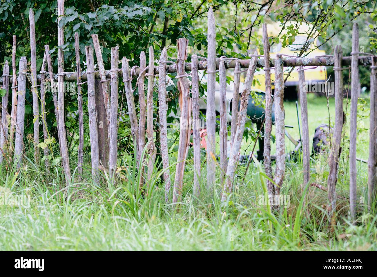 Rustic wooden fence surrounded by lush greenery in a rural setting ...