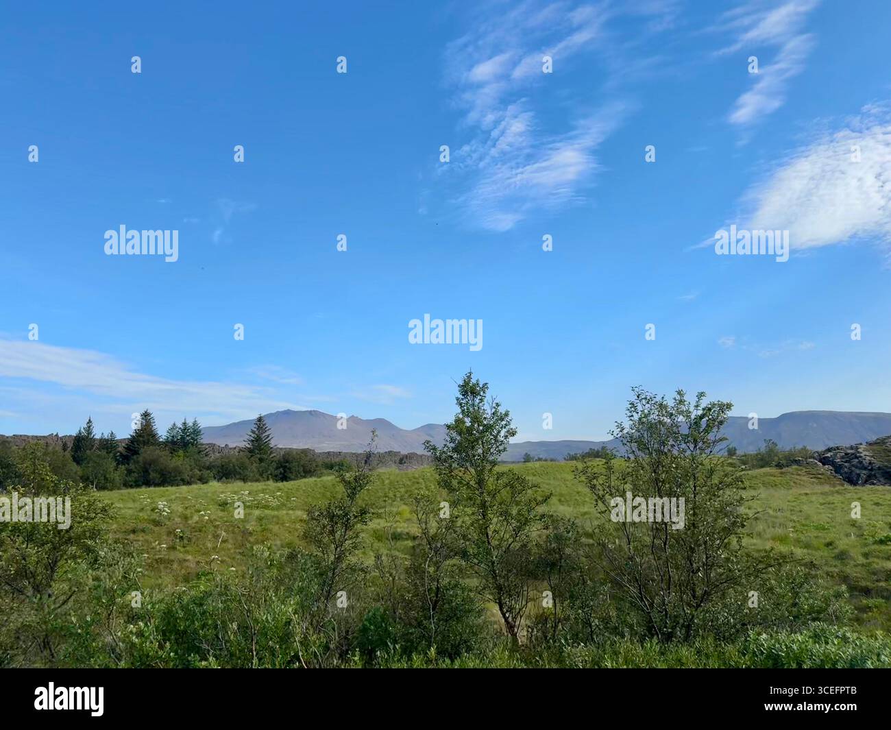Þingvellir (Thingvellir) National Park, south Iceland. - Smartphone Captured Stock Image