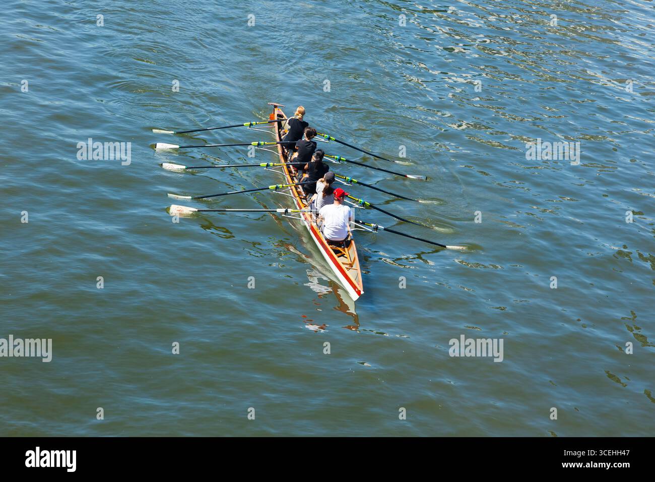 Academic rowing, four athletes with a coxswain sail in a boat on open ...