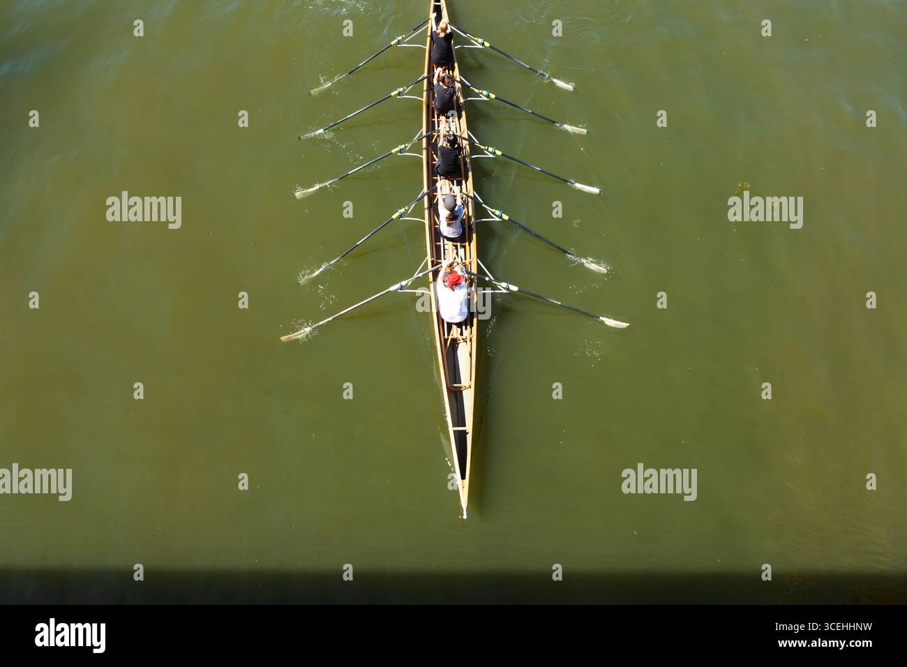 Academic rowing, four athletes with a coxswain sail in a boat on open ...