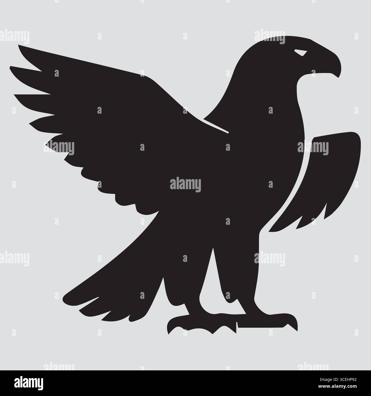 The Eagle Open The Wings Stock Vector