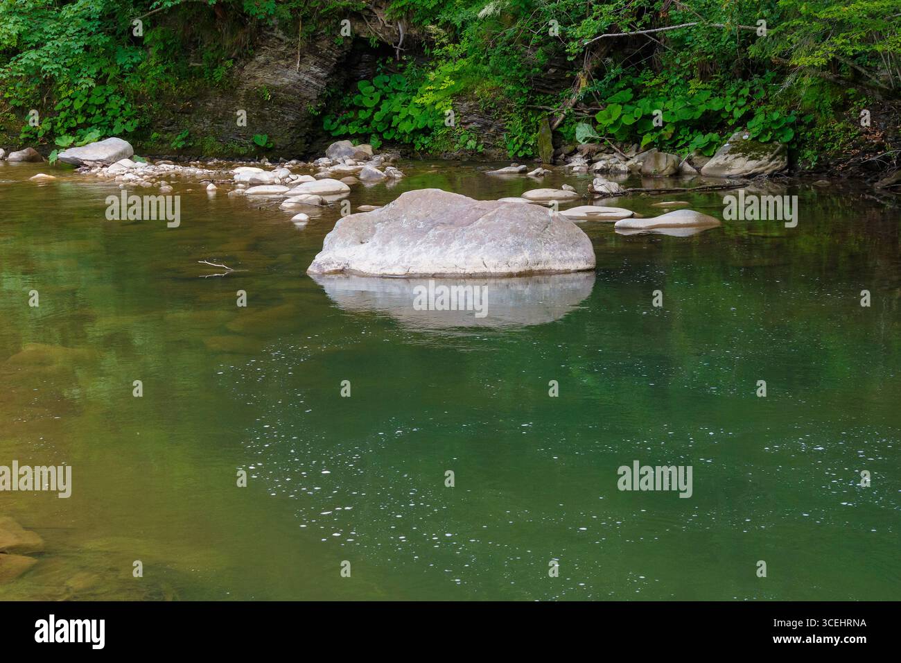 nature landscape with lyuta river in foliage forest. rocks in fresh water stream. wild outdoor scenery in summer. beautiful green environment backgrou Stock Photo