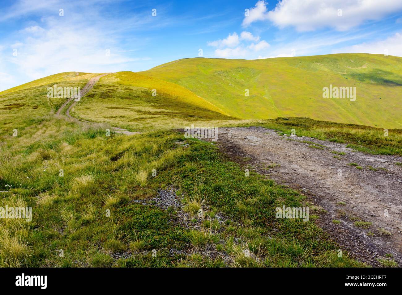 path for mountain tourism in summer. alpine landscape of ukraine. beautiful scenery of borzhava ridge with green hills under blue sky with clouds Stock Photo